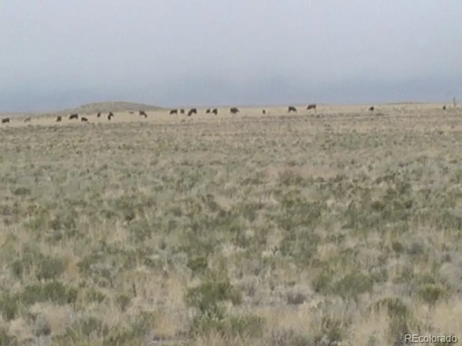 Arriba Rd, Blanca, CO 81123 - #2