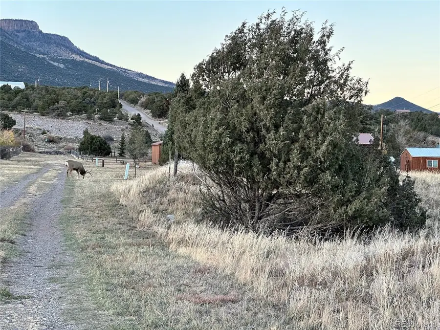 129 Rayburn Rd, South Fork, CO 81154 - Image #3