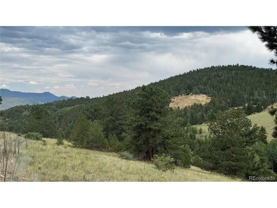 3 Church Placer Rd, Central City, CO 80427 - #3