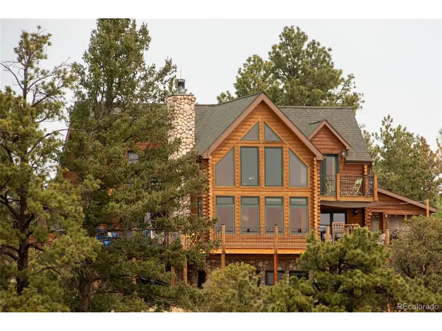 16090 Falcon Dr, Nathrop, CO 81236 - #2
