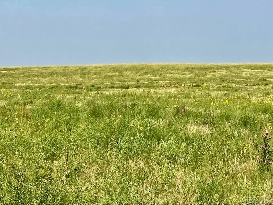 Address Withheld By Seller, Burlington, CO 80861 - #3