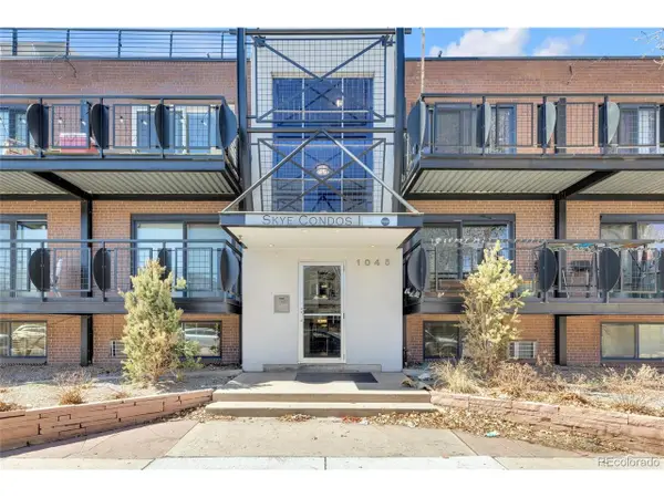 1045 N Clarkson St #207, Denver, CO 80218