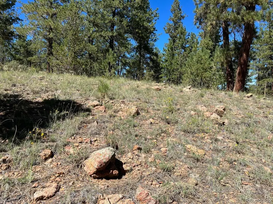 82 Kiowa Cir, Westcliffe, CO 81252 - #3