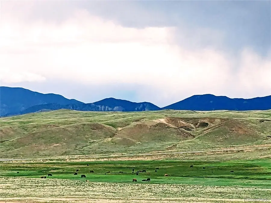 2667 Cahokia Rd, Hartsel, CO 80449 - #3