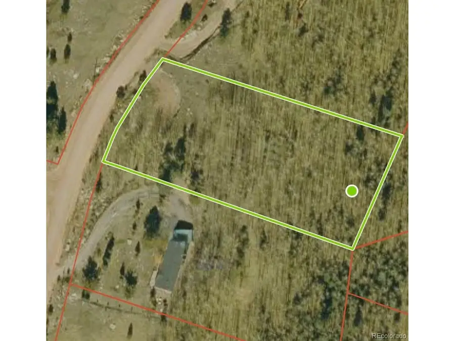 690 Anges Dr, Cripple Creek, CO 80813 - #2