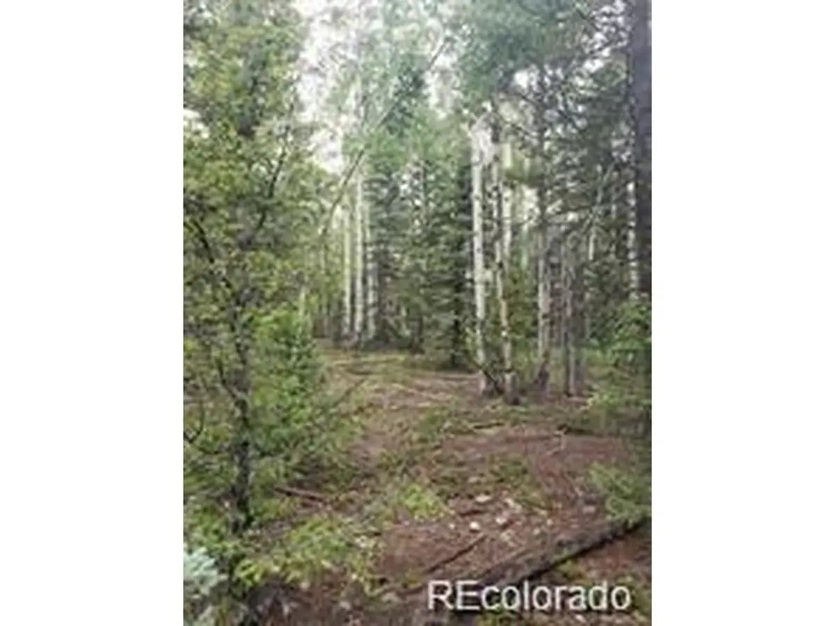 4 8th St, Jasper, CO 81132 - #1