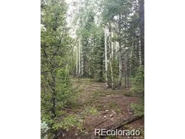 4 8th St, Jasper, CO 81132