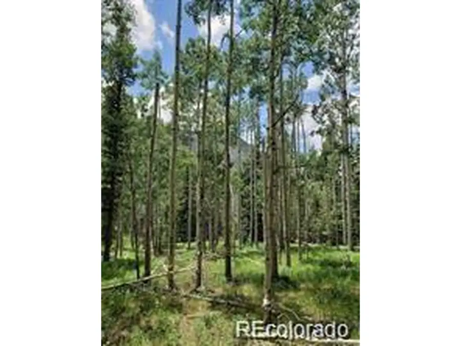 4 8th St, Jasper, CO 81132 - #2