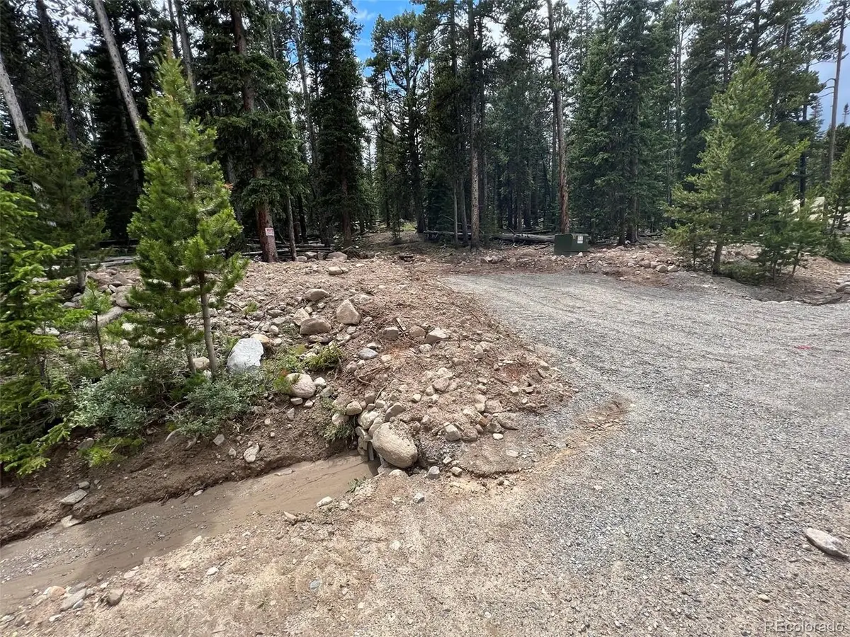 117 Miners Way, Fairplay, CO 80440 - #1