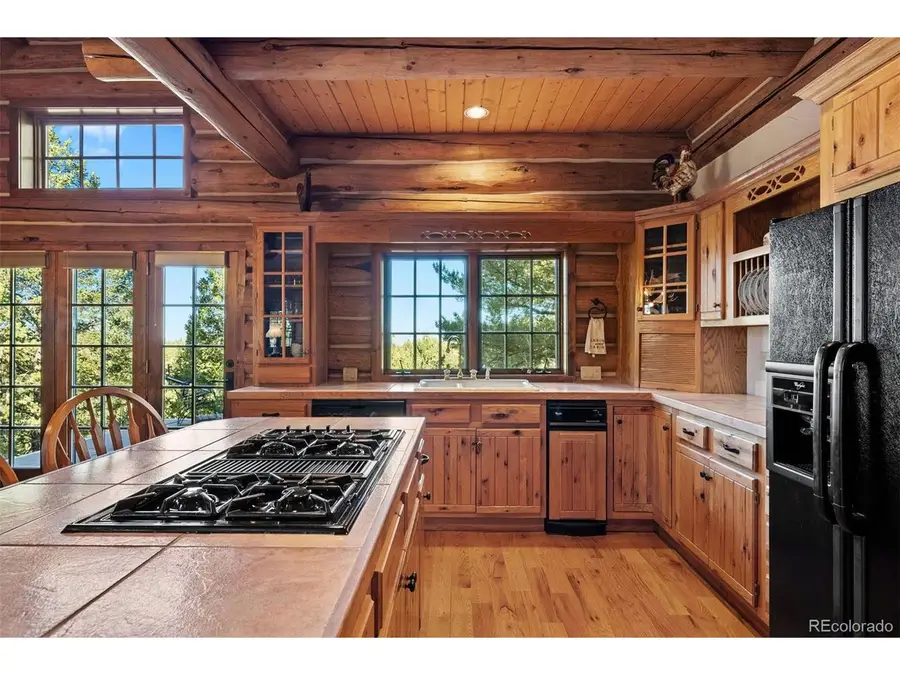 1010 Cantiberry Rd, Divide, CO 80814 - Image #3