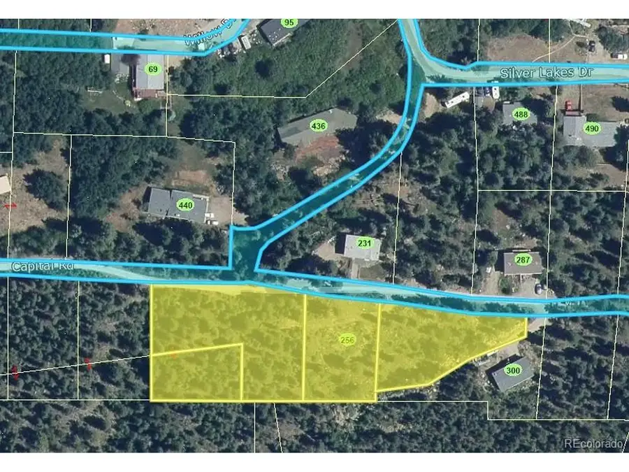 256 Capital Road, Dumont, CO 80436 - #3