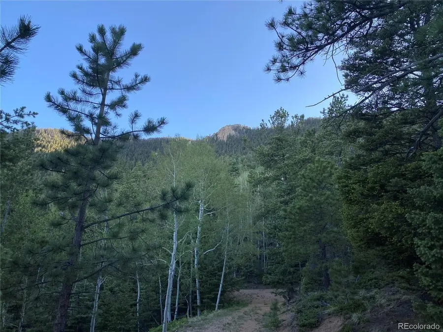285 Forest Rd, Manitou Springs, CO 80829 - #2