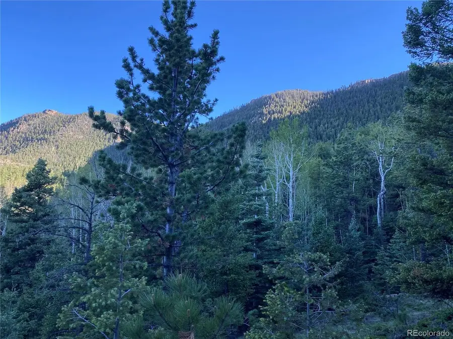 285 Forest Rd, Manitou Springs, CO 80829 - #3