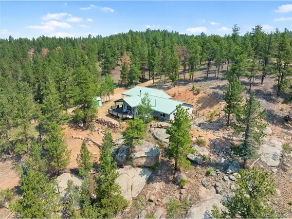 1205 Arapahoe Creek Trl, Florissant, CO 80816
