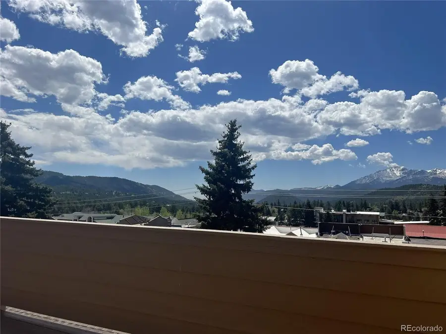 201 W Henrietta Ave, Woodland Park, CO 80863 - #3