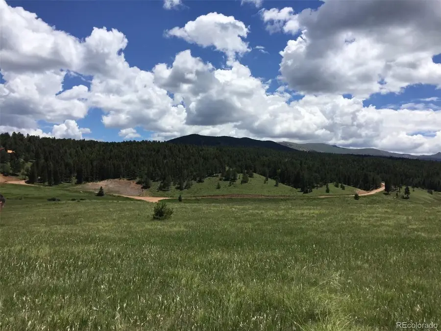 4600 Elk Valley Rd, Divide, CO 80814 - #3