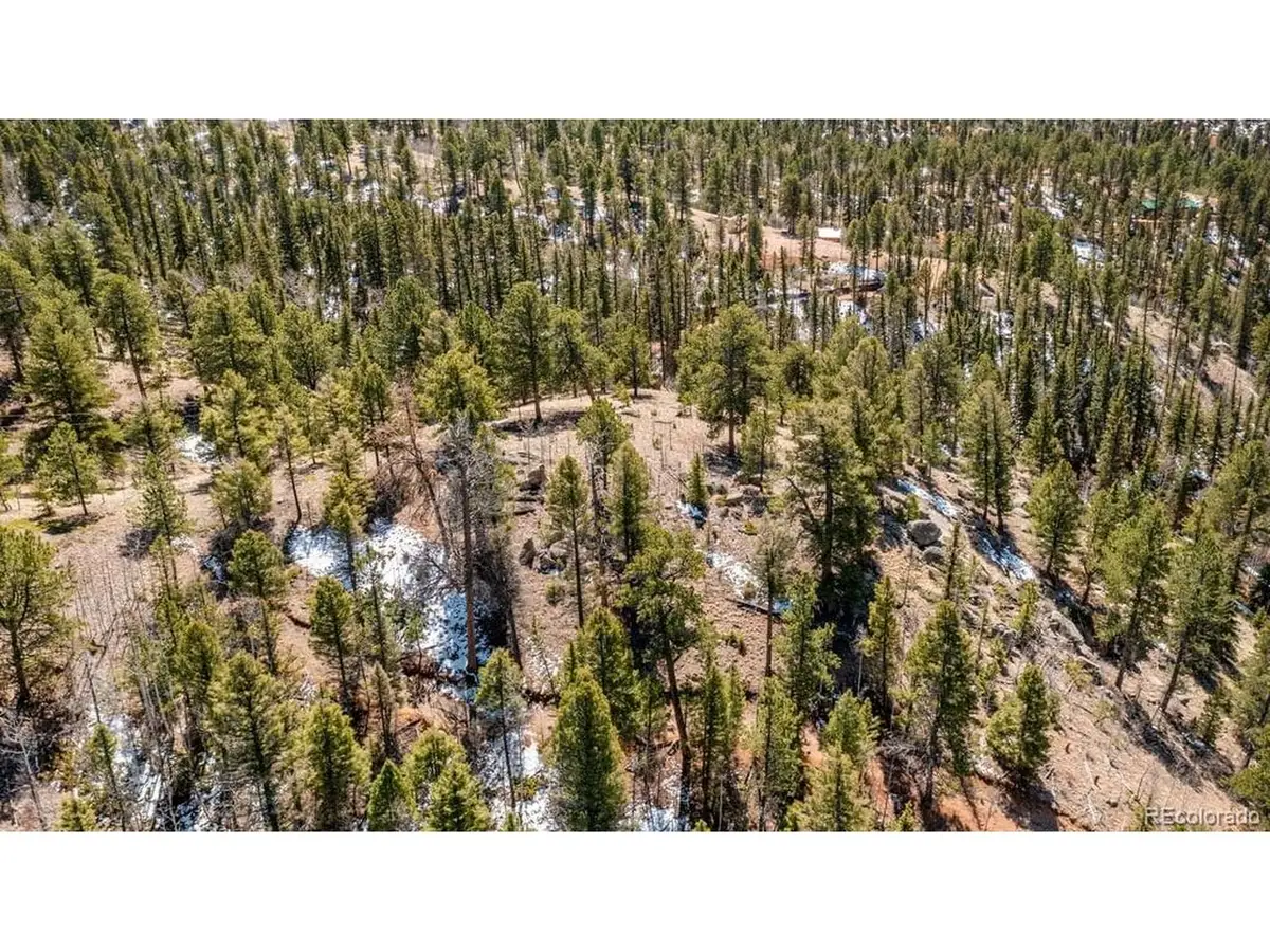 196 Beaver Creek Cir, Florissant, CO 80816 - #1