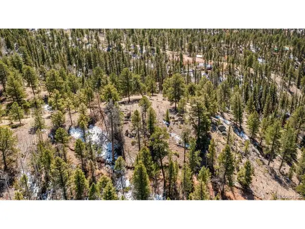 196 Beaver Creek Cir, Florissant, CO 80816