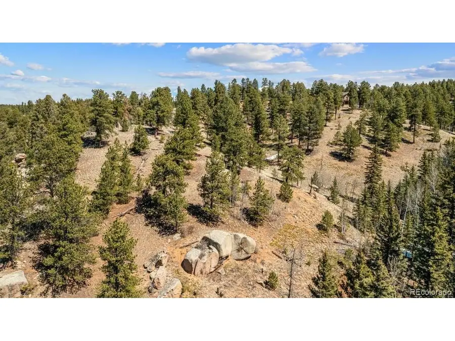 196 Beaver Creek Cir, Florissant, CO 80816 - #2