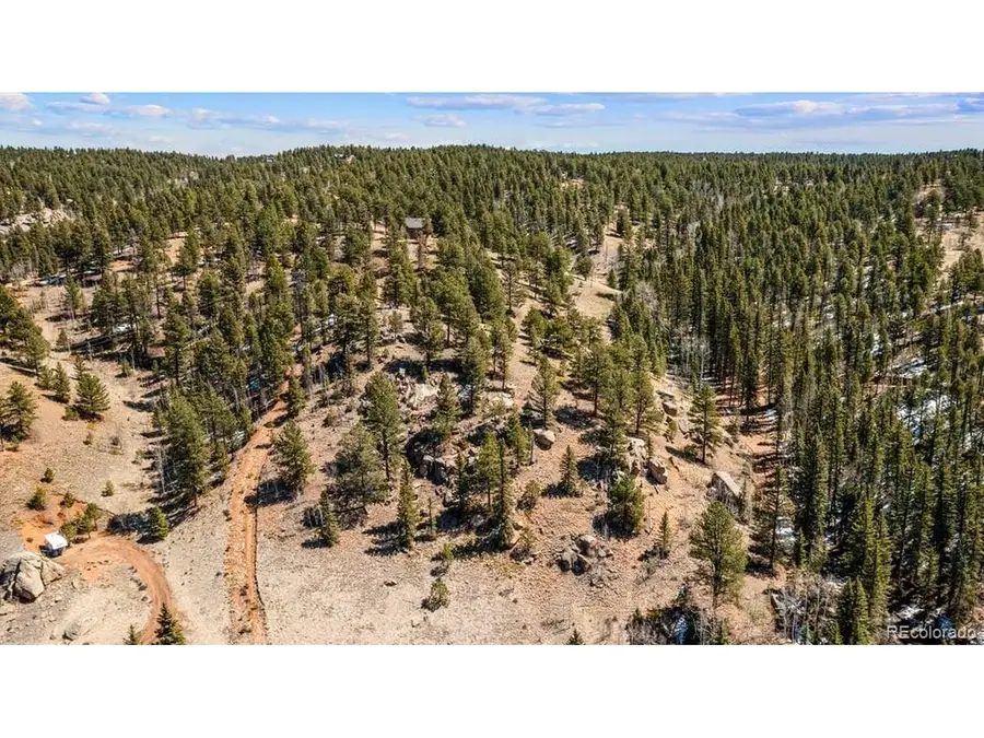 196 Beaver Creek Cir, Florissant, CO 80816 - #3