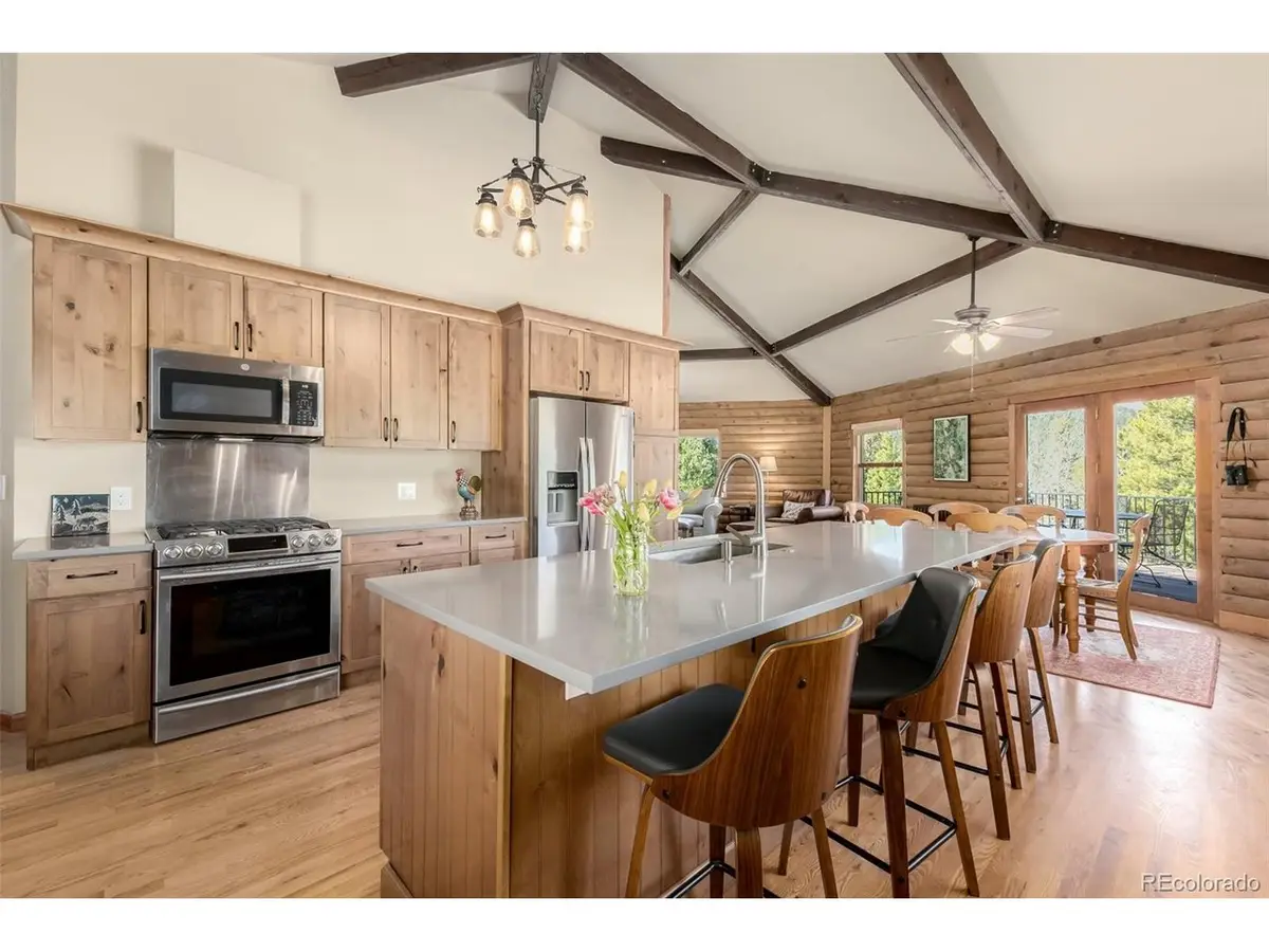 260 Pine Dr, Idaho Springs, CO 80452 - #1