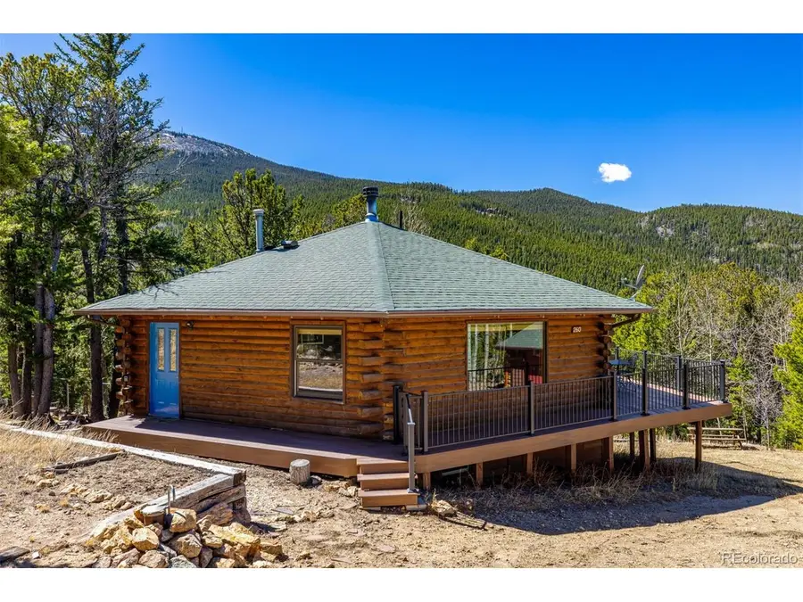 260 Pine Dr, Idaho Springs, CO 80452 - #2