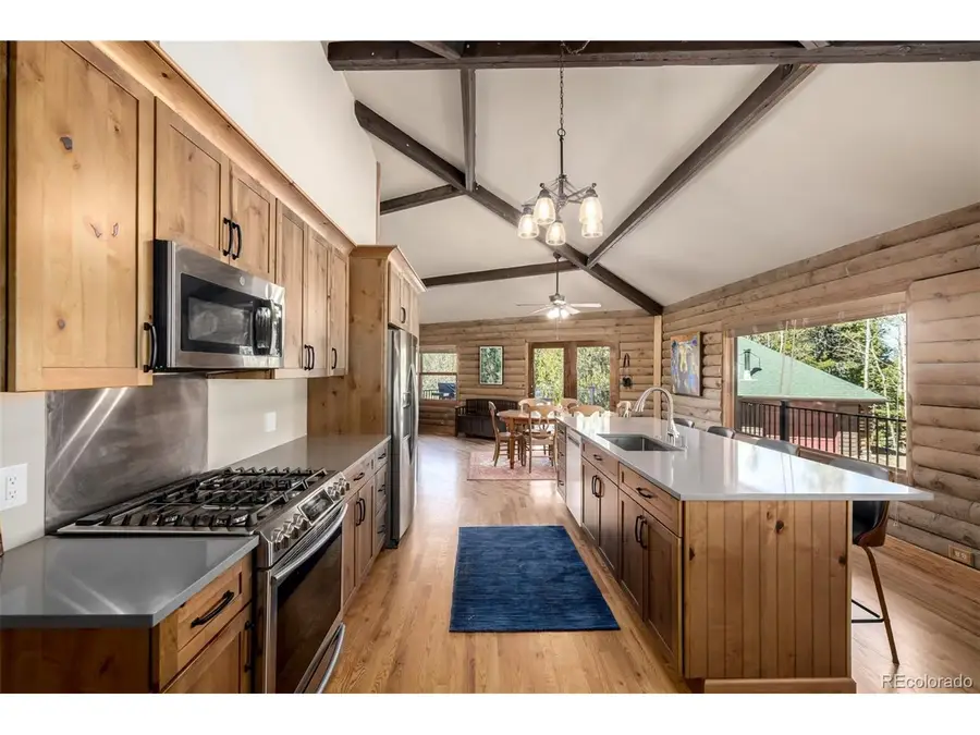 260 Pine Dr, Idaho Springs, CO 80452 - #3