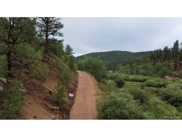 367 Neish St, Bailey, CO 80421