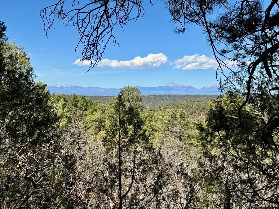 34999 Timber Park Dr, Trinidad, CO 81082 - #2