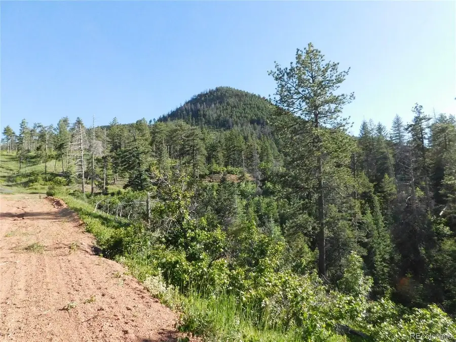 5425 Cheyenne Dr, Larkspur, CO 80118 - #2