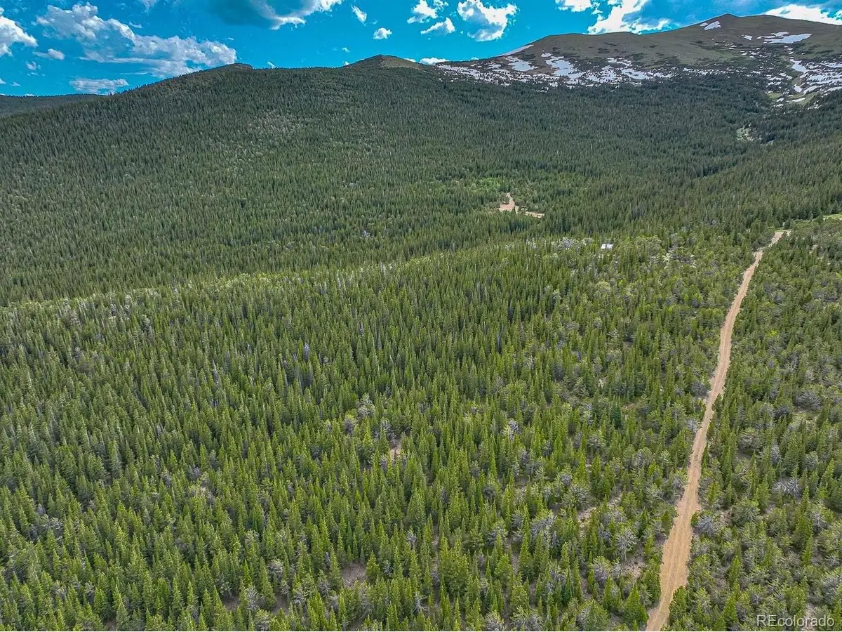 123 Mosquito Creek Rd, Black Hawk, CO 80422 - #1