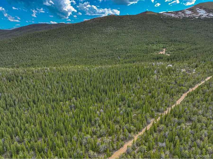 123 Mosquito Creek Rd, Black Hawk, CO 80422 - #3