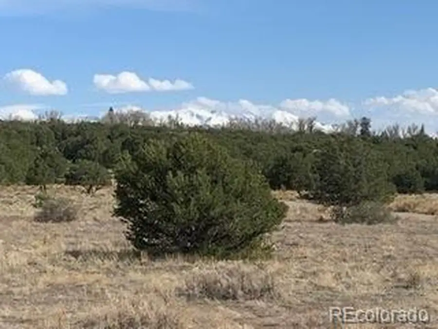 2023 Lone Pine Way, Crestone, CO 81131 - Image #3