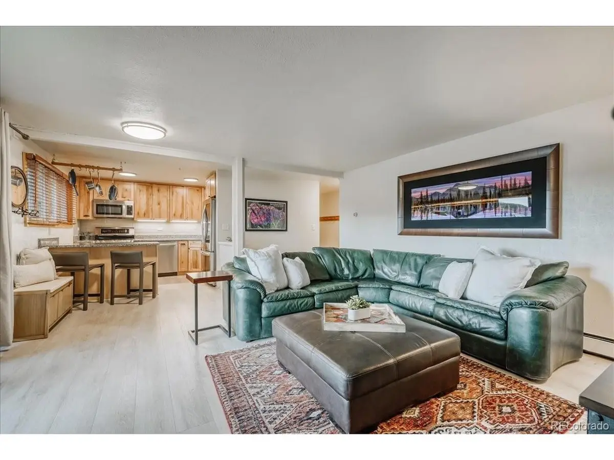 365 Salt Lick Cir, Silverthorne, CO 80498 - #1