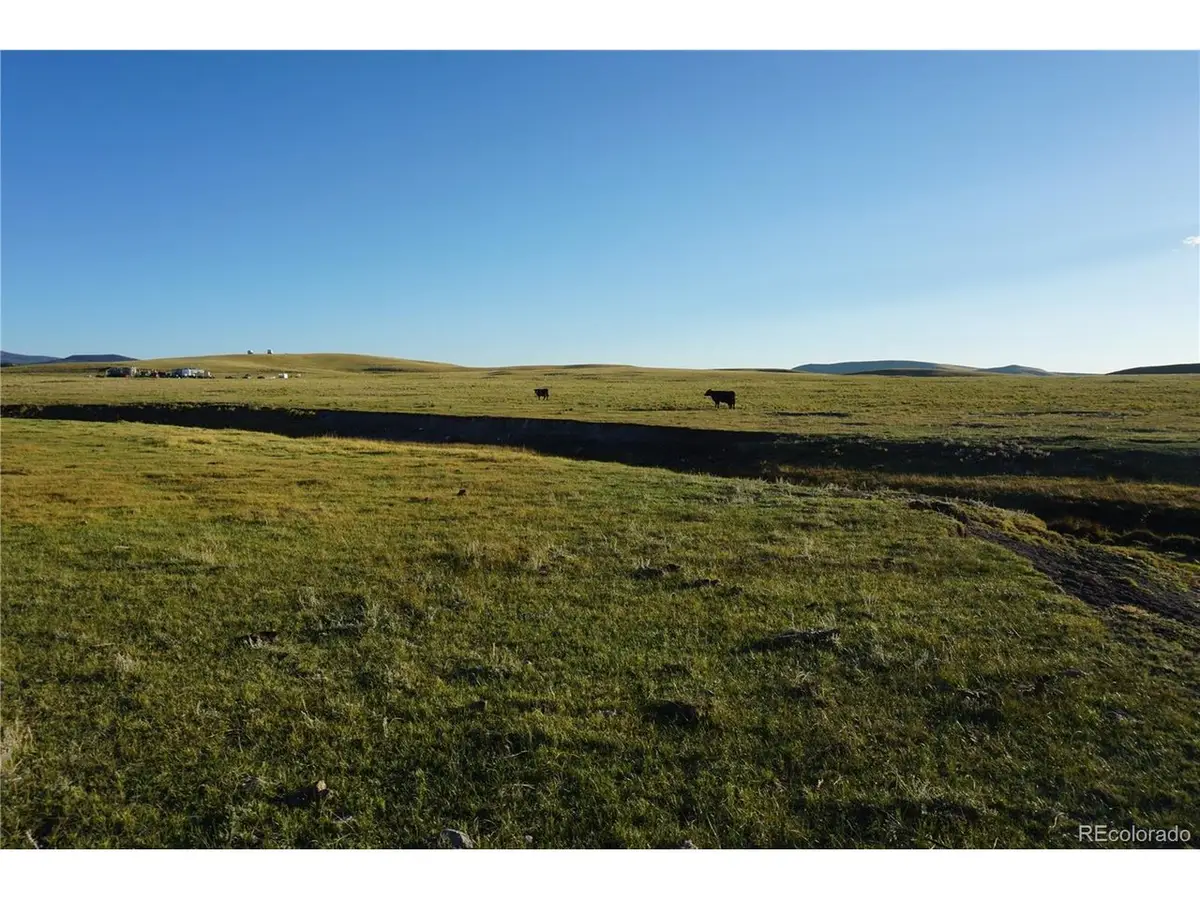 770 Pawnee Trl, Hartsel, CO 80449 - #1