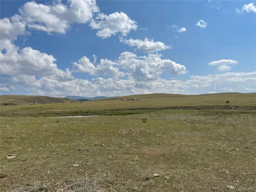 770 Pawnee Trl, Hartsel, CO 80449 - #2