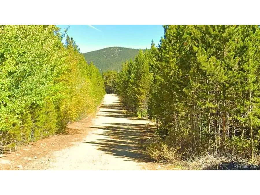 Address Withheld By Seller, Idaho Springs, CO 80452 - #2