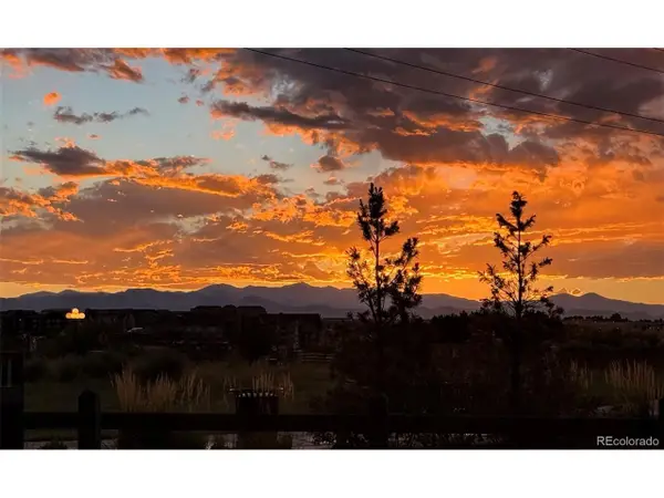 8973 Birch Run Ln, Parker, CO 80134