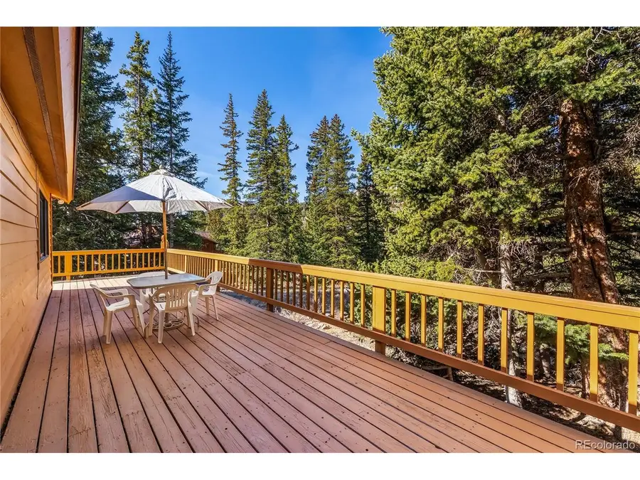 235 Nuthatch Dr, Alma, CO 80420 - #2