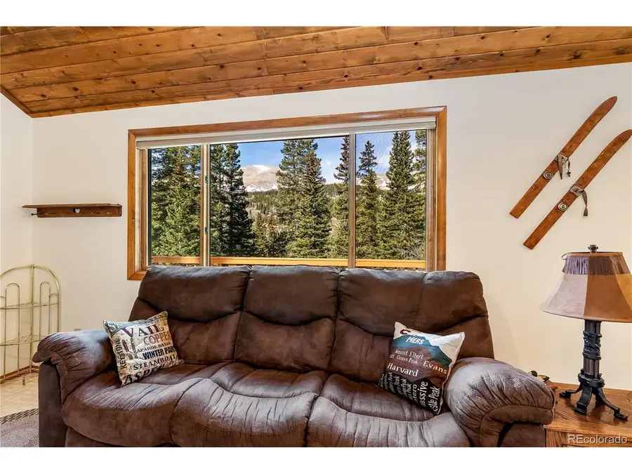 235 Nuthatch Dr, Alma, CO 80420 - #3
