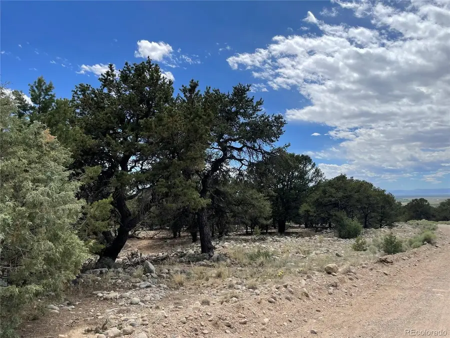 3855 Jubilant Way, Crestone, CO 81131 - #3