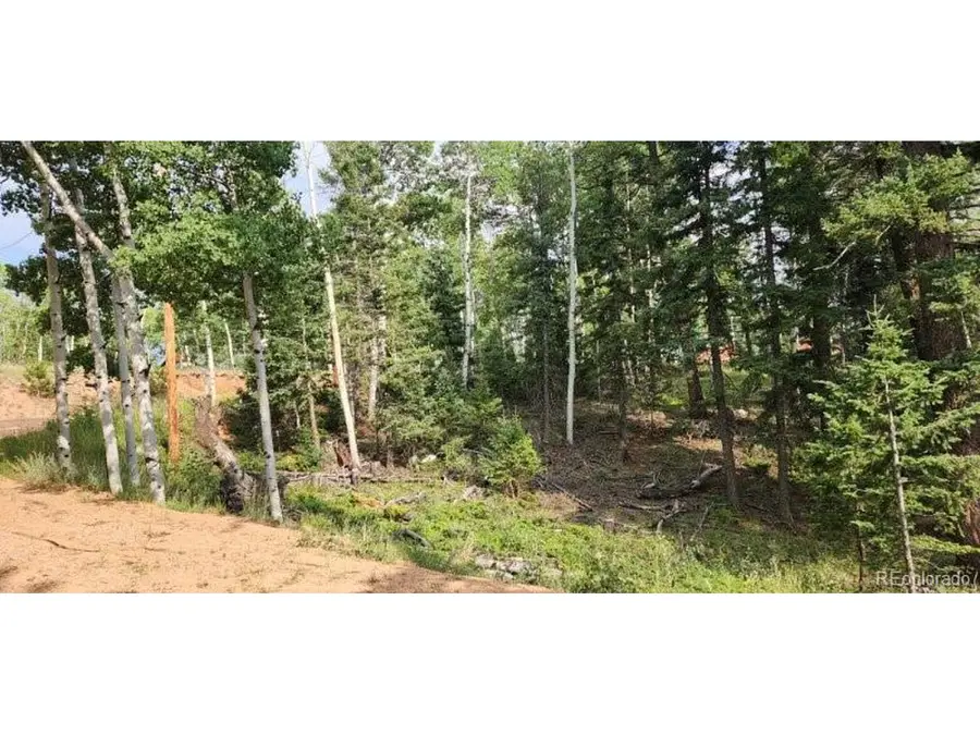 127 Rampart Cir, Florissant, CO 80816 - Image #2