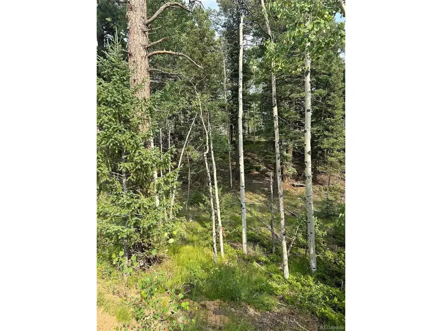 127 Rampart Cir, Florissant, CO 80816 - Image #3