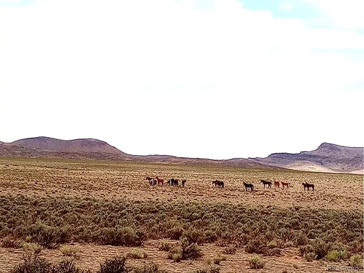 40 County Rd 27, San Acacio, CO 81151 - #1