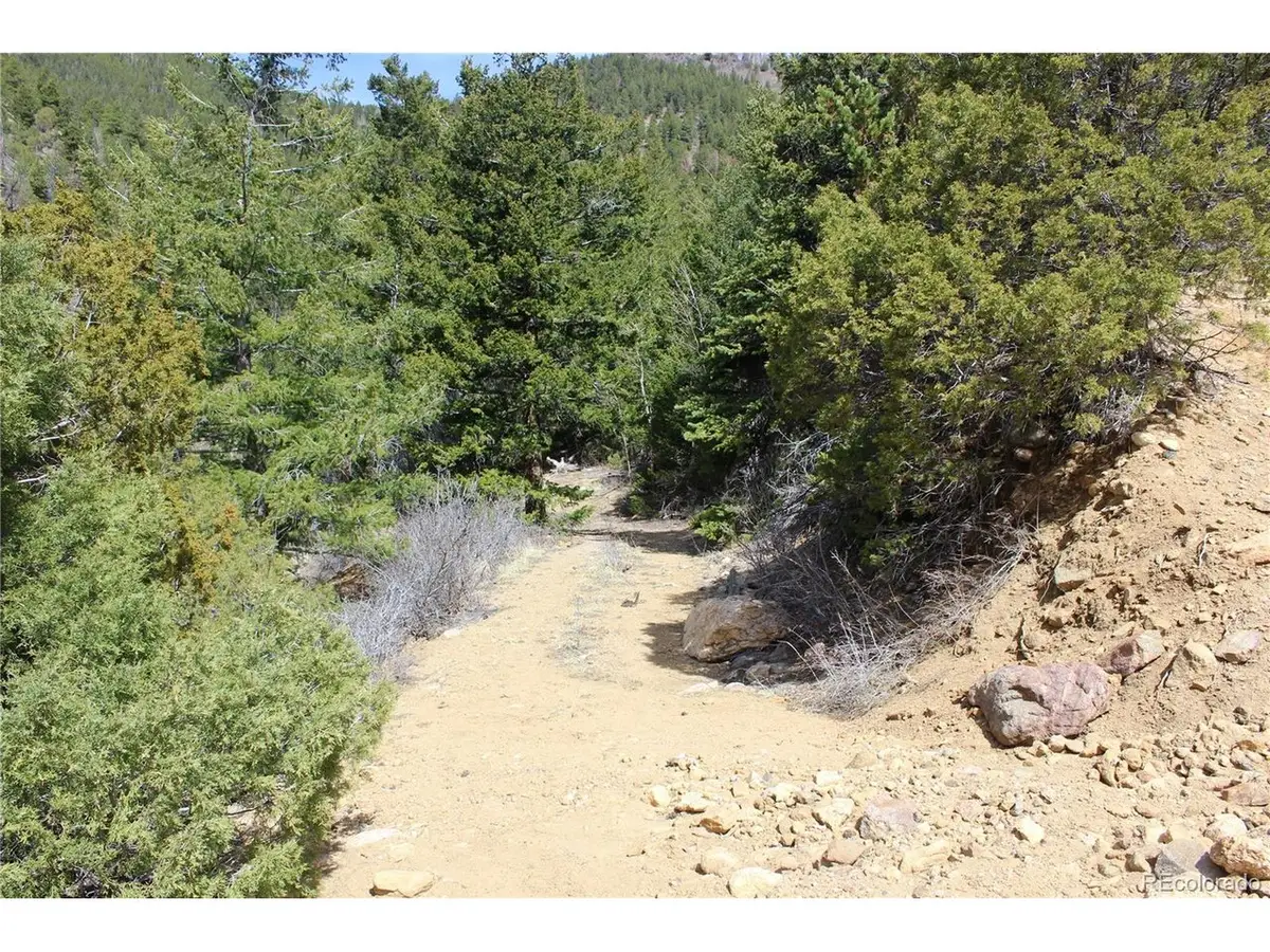 0 County Rd 308, Idaho Springs, CO 80436 - #1