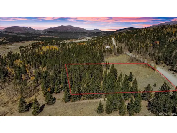425 Platte River Dr, Fairplay, CO 80440