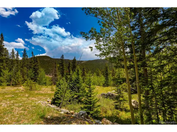 522 Quartzville Rd, Alma, CO 80420