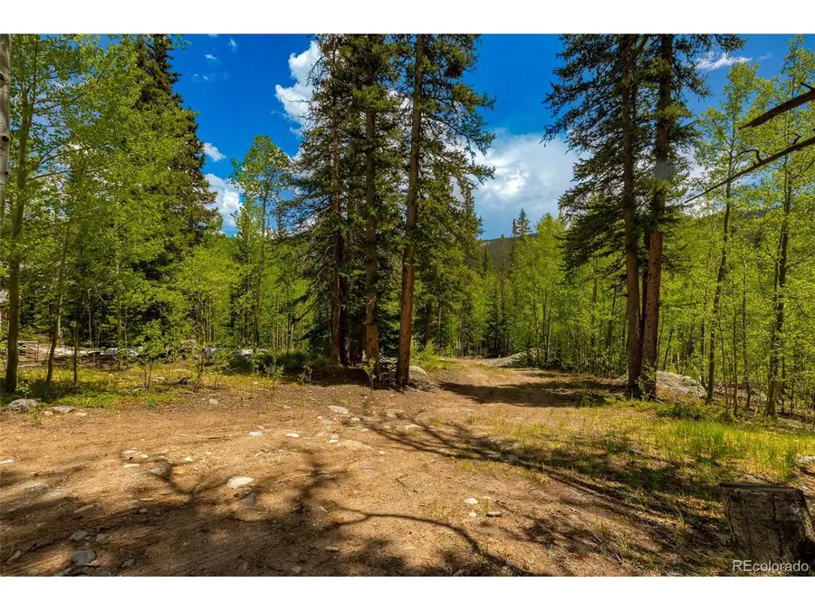 522 Quartzville Rd, Alma, CO 80420 - Image #2