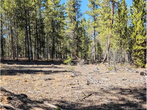 322 Juniper Dr, Twin Lakes, CO 81251