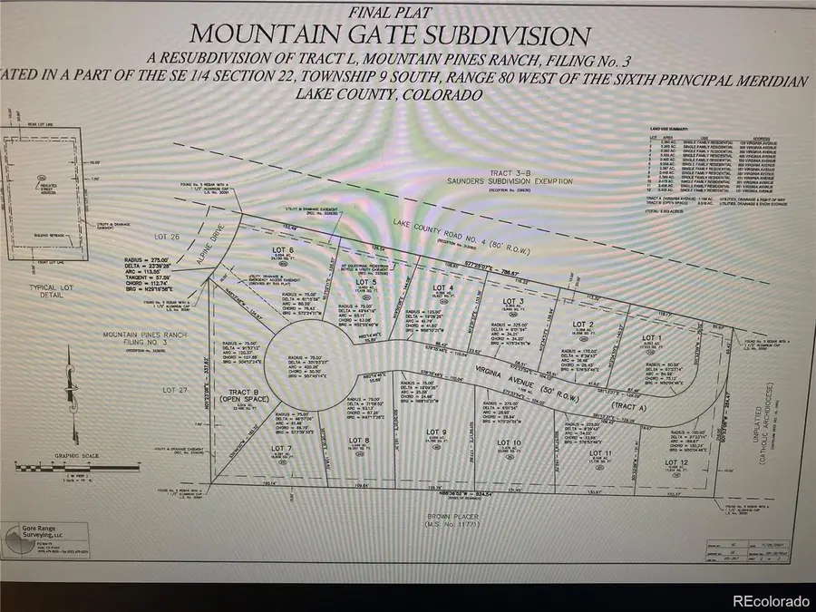 551 Virginia Ave, Leadville, CO 80461 - #3